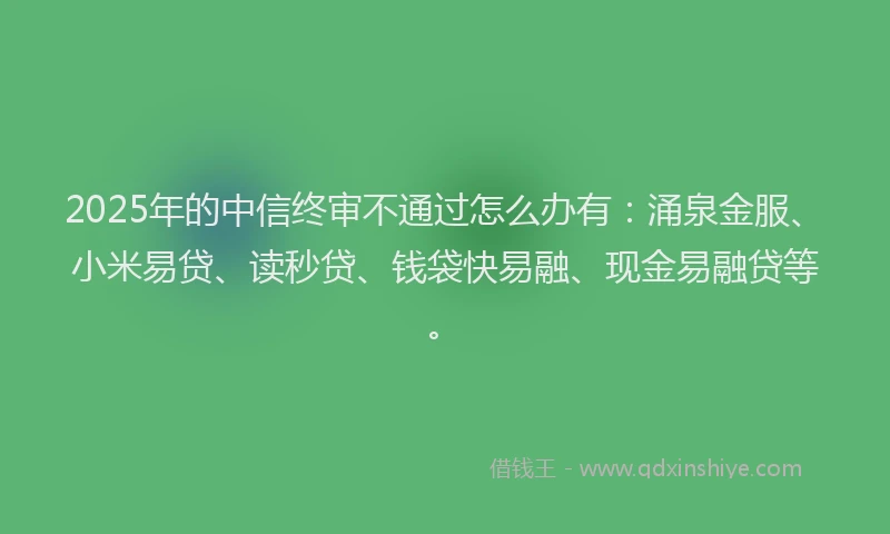 2025年的中信终审不通过怎么办有：涌泉金服、小米易贷、读秒贷、钱袋快易融、现金易融贷等。