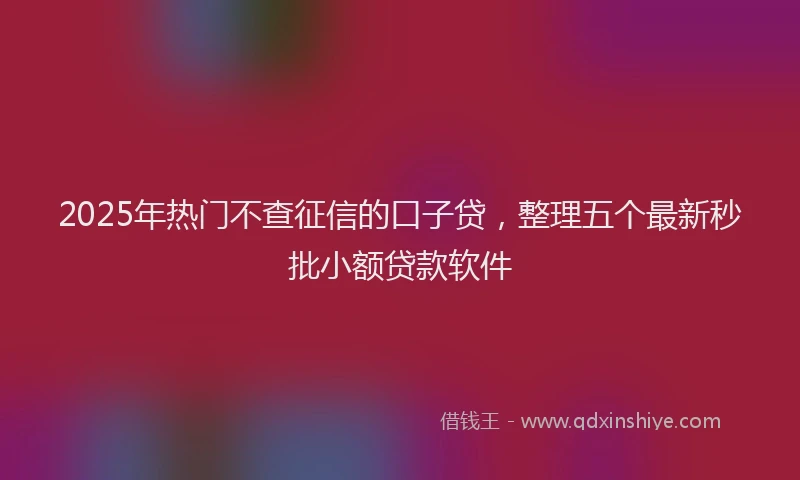 2025年热门不查征信的口子贷，整理五个最新秒批小额贷款软件