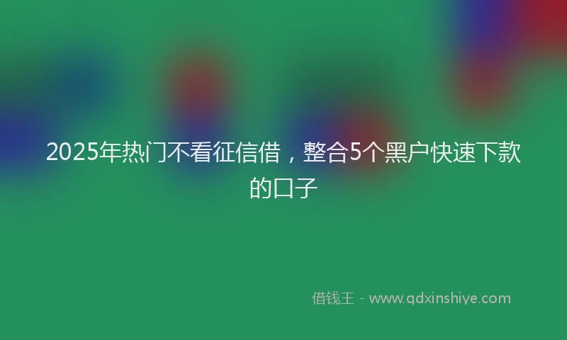 2025年热门不看征信借，整合5个黑户快速下款的口子