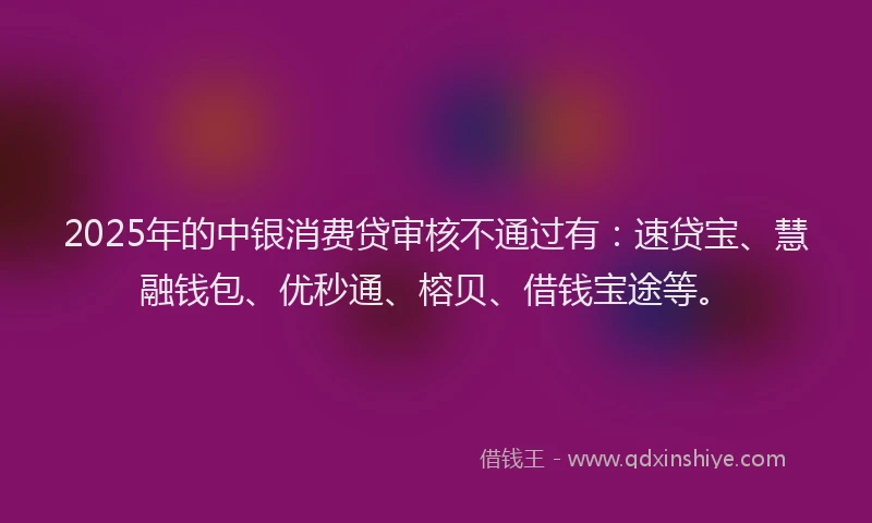 2025年的中银消费贷审核不通过有：速贷宝、慧融钱包、优秒通、榕贝、借钱宝途等。