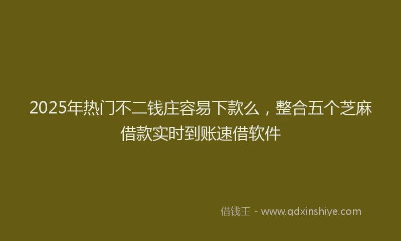 2025年热门不二钱庄容易下款么，整合五个芝麻借款实时到账速借软件