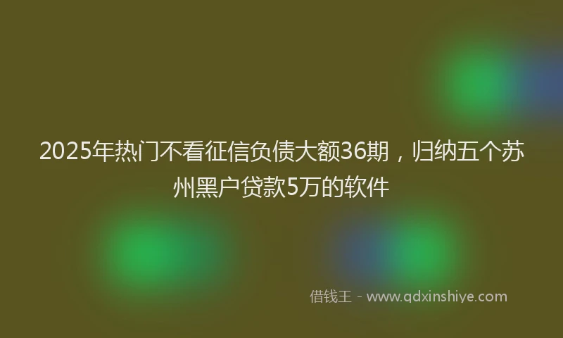 2025年热门不看征信负债大额36期，归纳五个苏州黑户贷款5万的软件