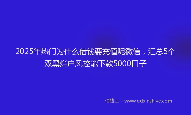 2025年热门为什么借钱要充值呢微信，汇总5个双黑烂户风控能下款5000口子