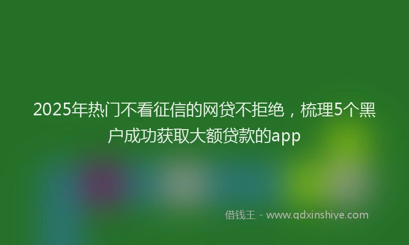 2025年热门不看征信的网贷不拒绝，梳理5个黑户成功获取大额贷款的app
