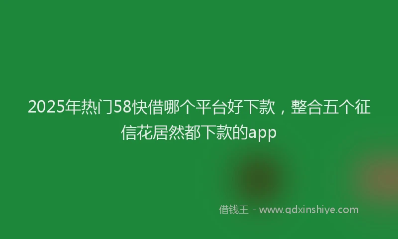 2025年热门58快借哪个平台好下款，整合五个征信花居然都下款的app