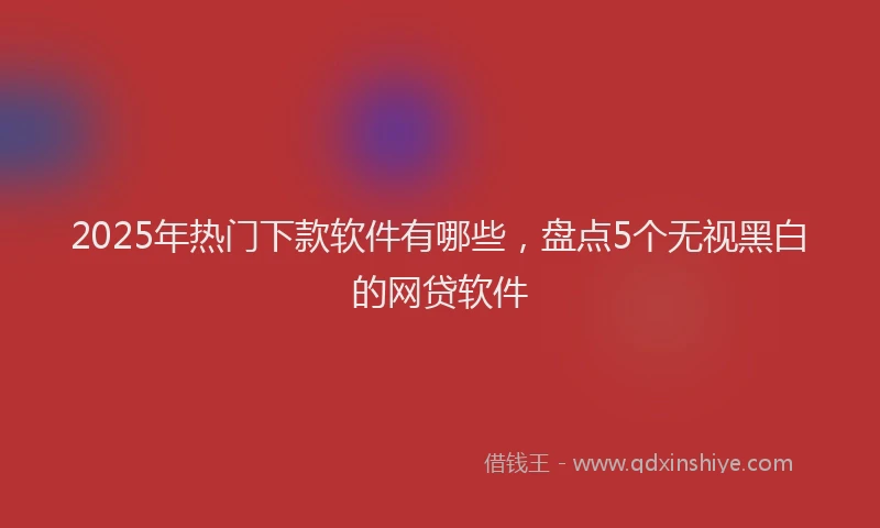 2025年热门下款软件有哪些，盘点5个无视黑白的网贷软件