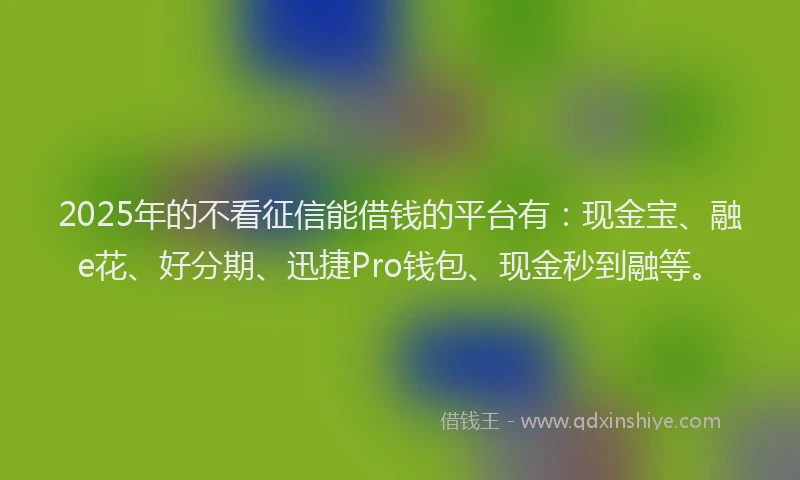 2025年的不看征信能借钱的平台有：现金宝、融e花、好分期、迅捷Pro钱包、现金秒到融等。