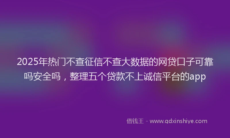 2025年热门不查征信不查大数据的网贷口子可靠吗安全吗，整理五个贷款不上诚信平台的app