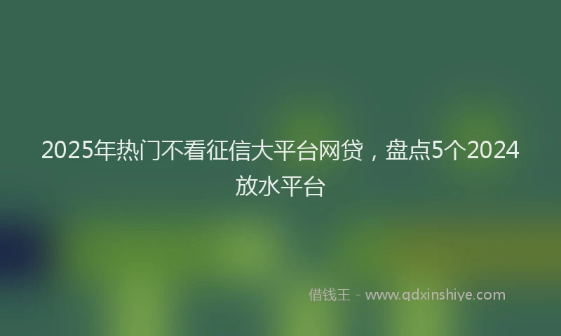 2025年热门不看征信大平台网贷，盘点5个2024放水平台