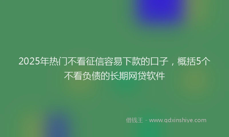 2025年热门不看征信容易下款的口子，概括5个不看负债的长期网贷软件