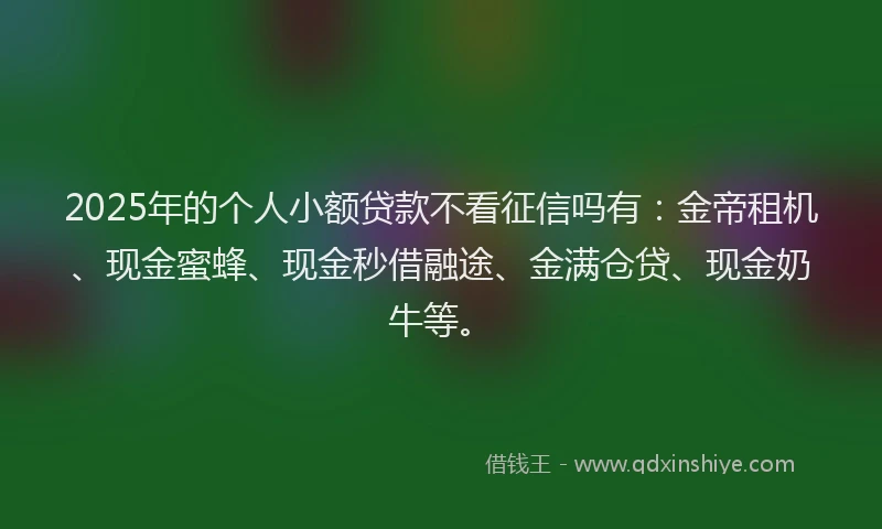 2025年的个人小额贷款不看征信吗有：金帝租机、现金蜜蜂、现金秒借融途、金满仓贷、现金奶牛等。
