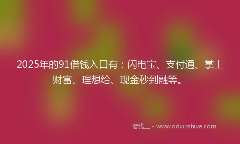 2025年的91借钱入口有：闪电宝、支付通、掌上财富、理想给、现金秒到融等。