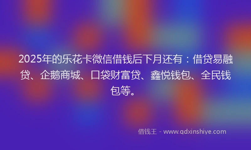 2025年的乐花卡微信借钱后下月还有：借贷易融贷、企鹅商城、口袋财富贷、鑫悦钱包、全民钱包等。