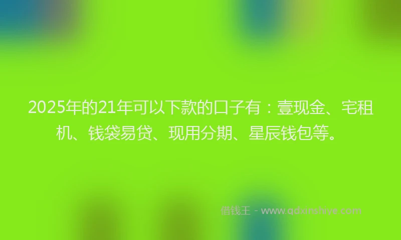 2025年的21年可以下款的口子有：壹现金、宅租机、钱袋易贷、现用分期、星辰钱包等。