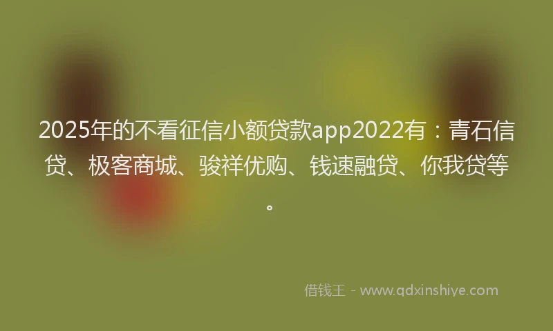 2025年的不看征信小额贷款app2022有：青石信贷、极客商城、骏祥优购、钱速融贷、你我贷等。