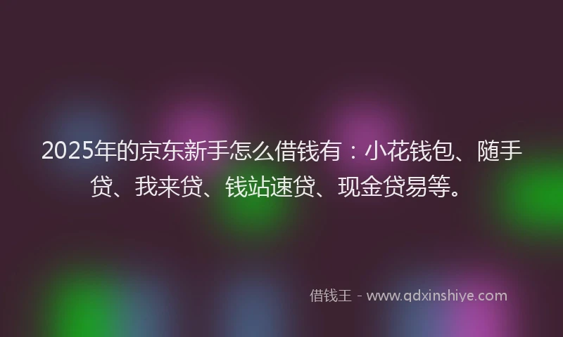 2025年的京东新手怎么借钱有：小花钱包、随手贷、我来贷、钱站速贷、现金贷易等。