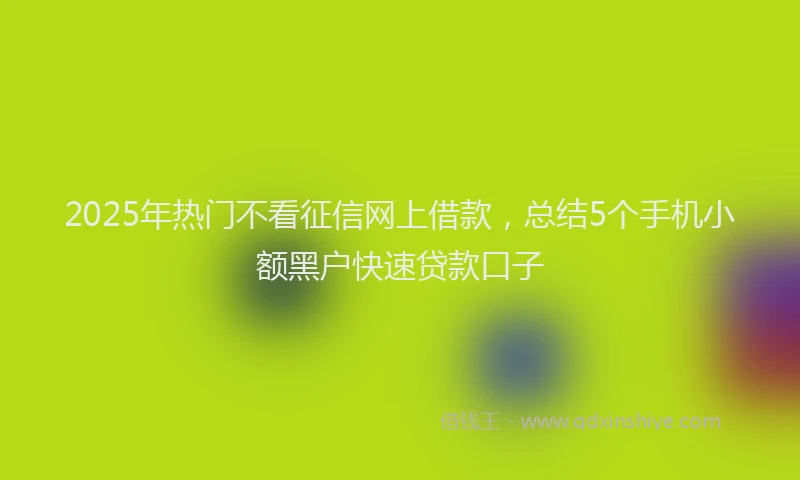 2025年热门不看征信网上借款，总结5个手机小额黑户快速贷款口子
