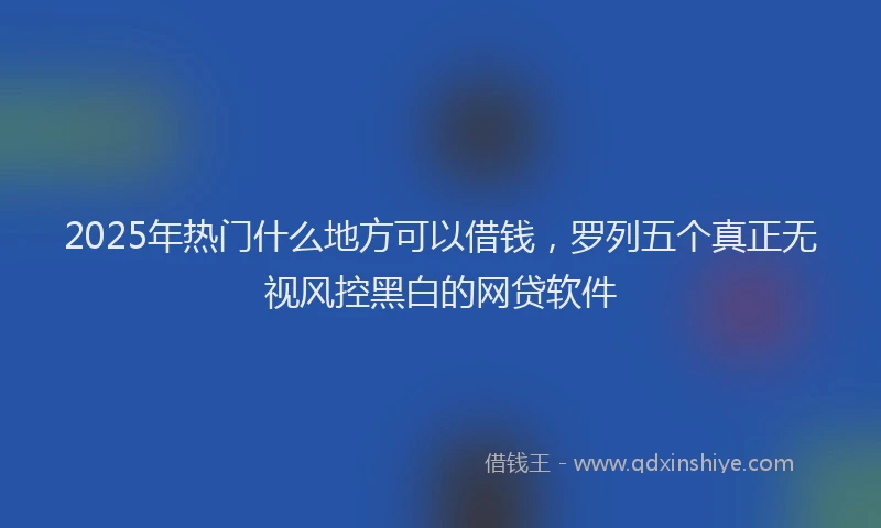 2025年热门什么地方可以借钱，罗列五个真正无视风控黑白的网贷软件