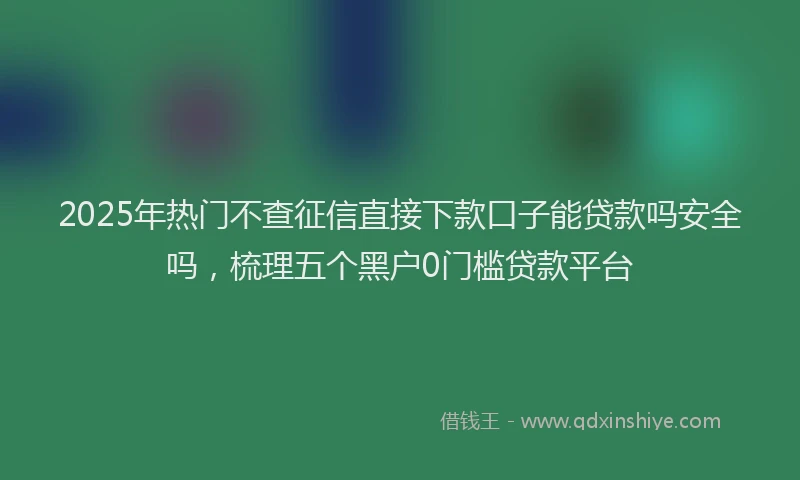 2025年热门不查征信直接下款口子能贷款吗安全吗，梳理五个黑户0门槛贷款平台