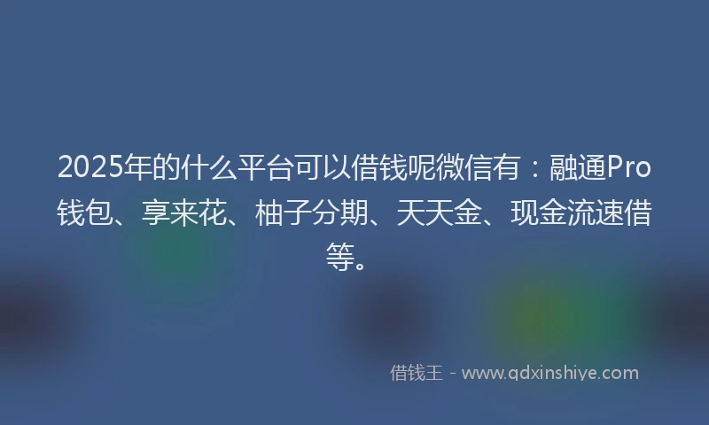 2025年的什么平台可以借钱呢微信有：融通Pro钱包、享来花、柚子分期、天天金、现金流速借等。