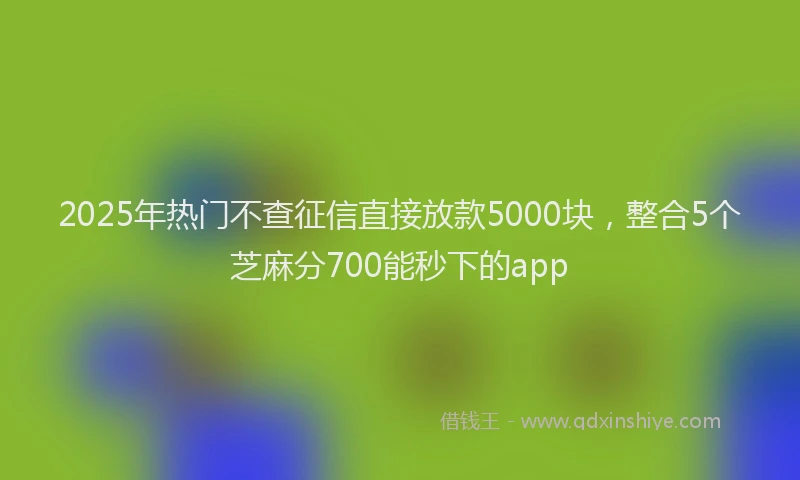 2025年热门不查征信直接放款5000块，整合5个芝麻分700能秒下的app