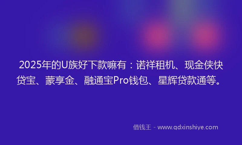 2025年的U族好下款嘛有：诺祥租机、现金侠快贷宝、蒙享金、融通宝Pro钱包、星辉贷款通等。
