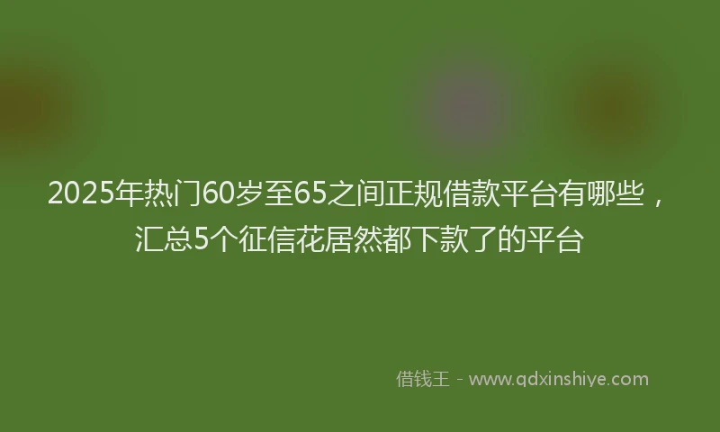 2025年热门60岁至65之间正规借款平台有哪些，汇总5个征信花居然都下款了的平台