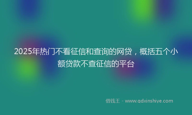 2025年热门不看征信和查询的网贷，概括五个小额贷款不查征信的平台