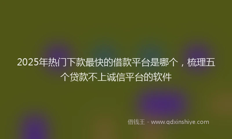 2025年热门下款最快的借款平台是哪个，梳理五个贷款不上诚信平台的软件