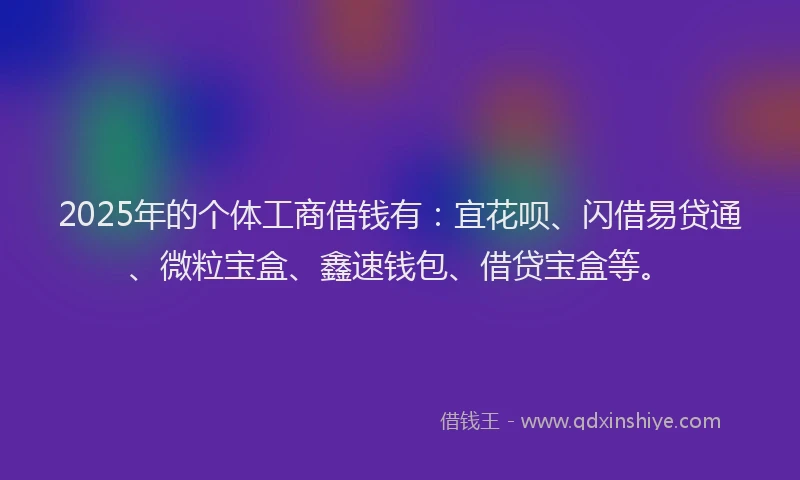 2025年的个体工商借钱有：宜花呗、闪借易贷通、微粒宝盒、鑫速钱包、借贷宝盒等。
