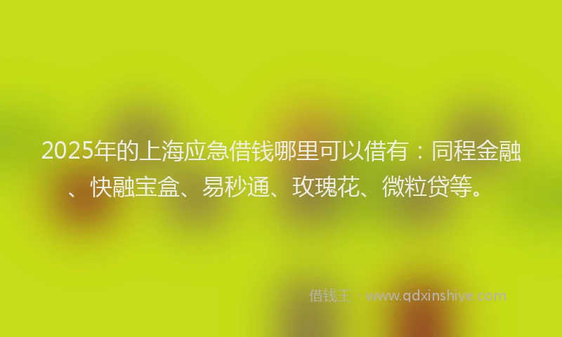 2025年的上海应急借钱哪里可以借有：同程金融、快融宝盒、易秒通、玫瑰花、微粒贷等。