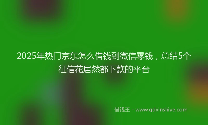2025年热门京东怎么借钱到微信零钱，总结5个征信花居然都下款的平台