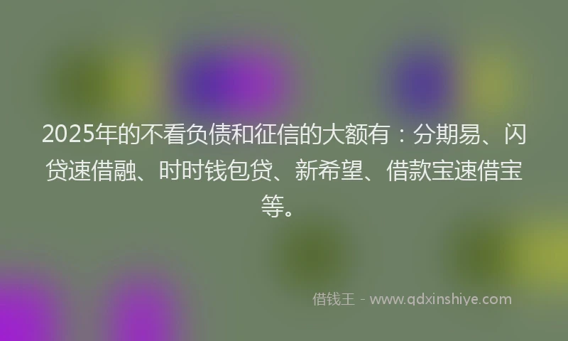 2025年的不看负债和征信的大额有：分期易、闪贷速借融、时时钱包贷、新希望、借款宝速借宝等。