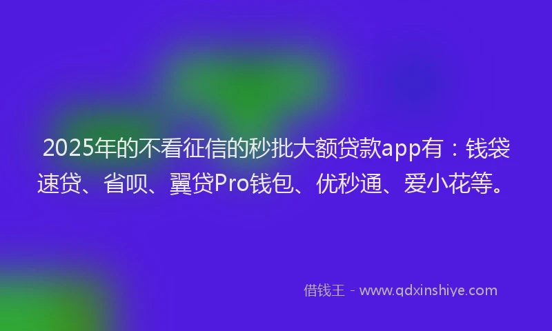 2025年的不看征信的秒批大额贷款app有：钱袋速贷、省呗、翼贷Pro钱包、优秒通、爱小花等。