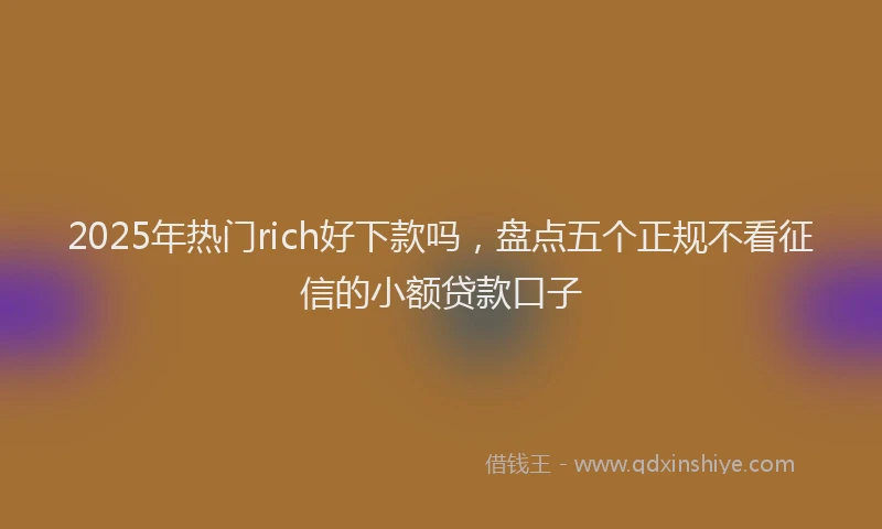 2025年热门rich好下款吗，盘点五个正规不看征信的小额贷款口子