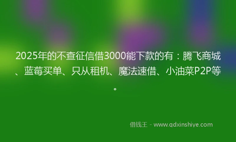 2025年的不查征信借3000能下款的有：腾飞商城、蓝莓买单、只从租机、魔法速借、小油菜P2P等。