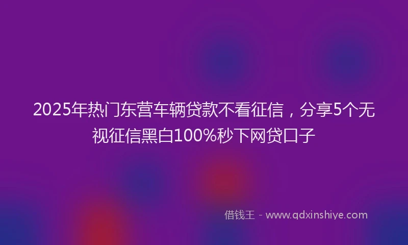 2025年热门东营车辆贷款不看征信，分享5个无视征信黑白100%秒下网贷口子