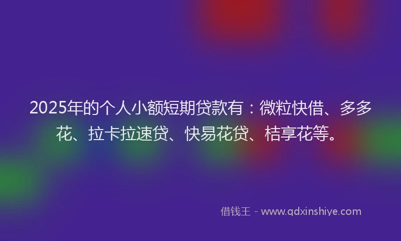 2025年的个人小额短期贷款有：微粒快借、多多花、拉卡拉速贷、快易花贷、桔享花等。