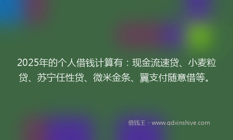 2025年的个人借钱计算有：现金流速贷、小麦粒贷、苏宁任性贷、微米金条、翼支付随意借等。