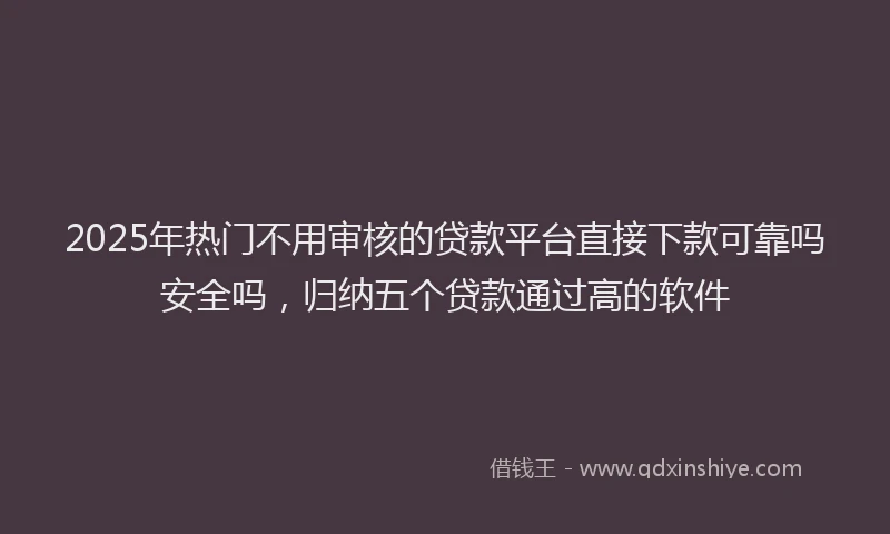 2025年热门不用审核的贷款平台直接下款可靠吗安全吗，归纳五个贷款通过高的软件