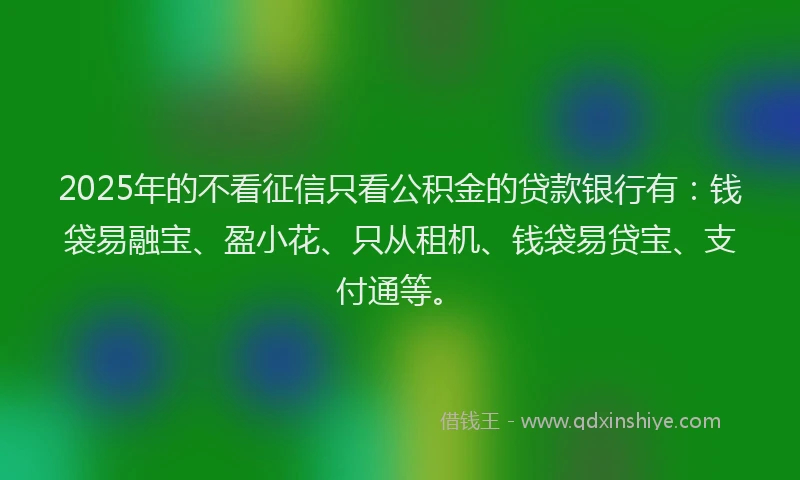 2025年的不看征信只看公积金的贷款银行有：钱袋易融宝、盈小花、只从租机、钱袋易贷宝、支付通等。