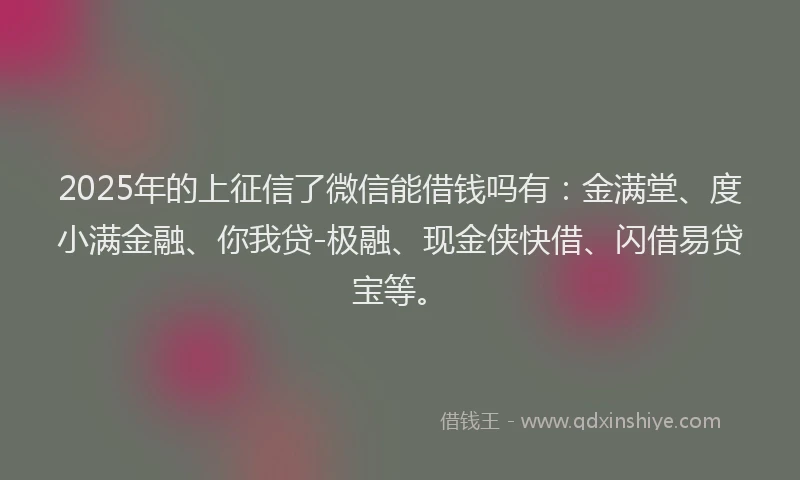 2025年的上征信了微信能借钱吗有：金满堂、度小满金融、你我贷-极融、现金侠快借、闪借易贷宝等。