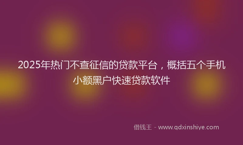 2025年热门不查征信的贷款平台，概括五个手机小额黑户快速贷款软件