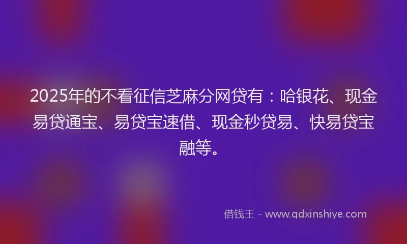 2025年的不看征信芝麻分网贷有：哈银花、现金易贷通宝、易贷宝速借、现金秒贷易、快易贷宝融等。