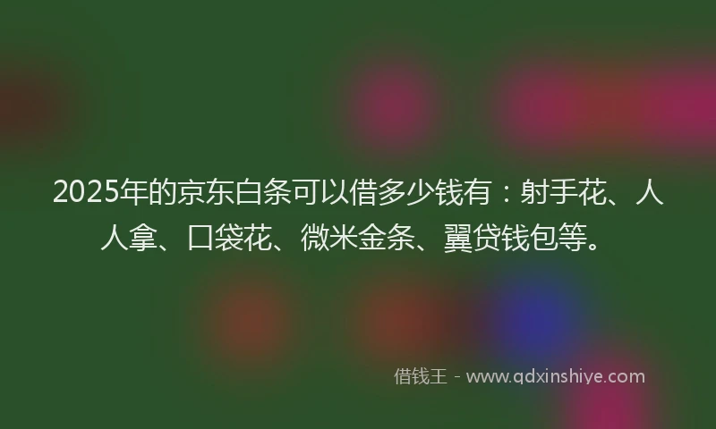 2025年的京东白条可以借多少钱有：射手花、人人拿、口袋花、微米金条、翼贷钱包等。