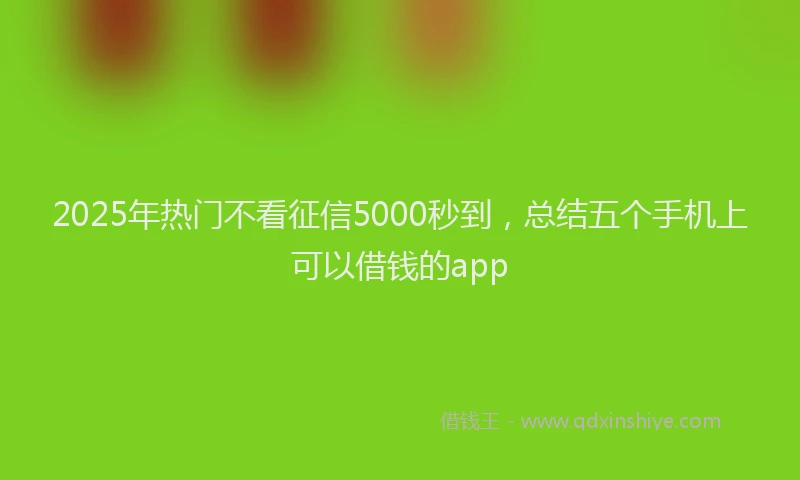 2025年热门不看征信5000秒到，总结五个手机上可以借钱的app