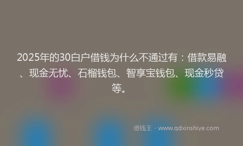 2025年的30白户借钱为什么不通过有：借款易融、现金无忧、石榴钱包、智享宝钱包、现金秒贷等。