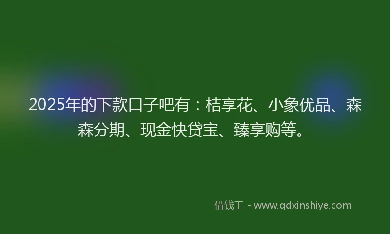 2025年的下款口子吧有：桔享花、小象优品、森森分期、现金快贷宝、臻享购等。