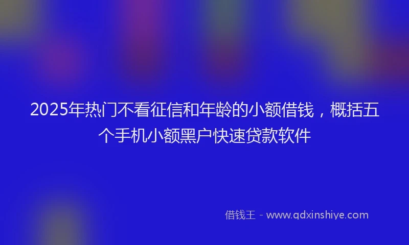 2025年热门不看征信和年龄的小额借钱，概括五个手机小额黑户快速贷款软件