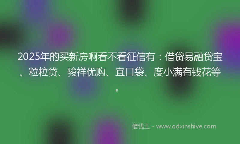2025年的买新房啊看不看征信有：借贷易融贷宝、粒粒贷、骏祥优购、宜口袋、度小满有钱花等。